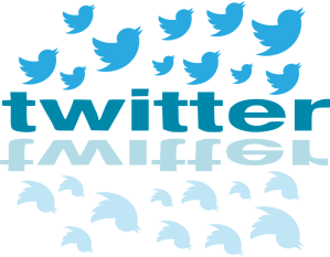twitter-720970_1280 copy